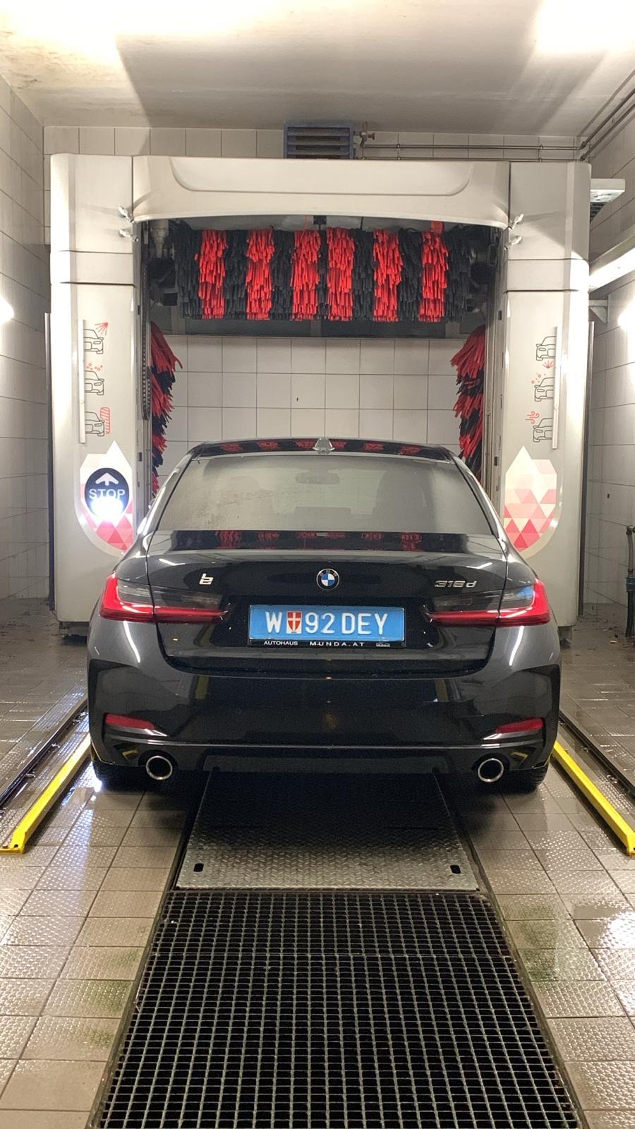 Black BMW, rear view